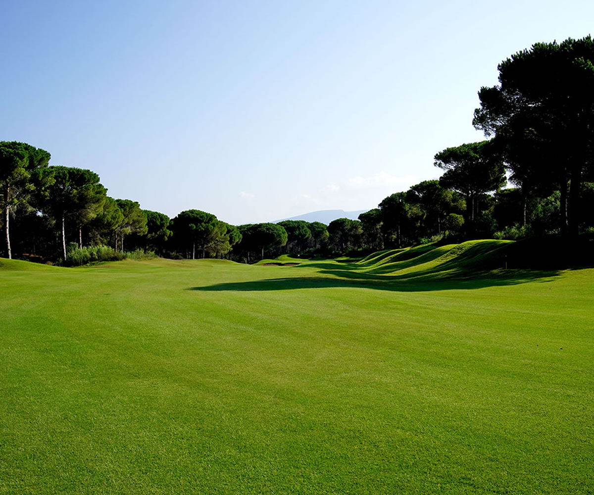 pradelli group hotels sardegna is arenas golf club